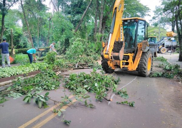 Carreta tomba carregada de papelão em Jaguariúna