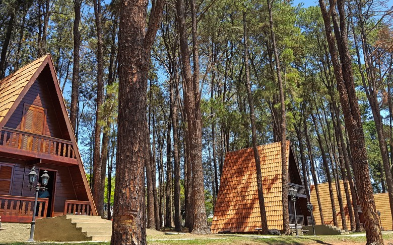 A imagem mostra uma área do Parque Van Gogh, em Holambra, com chalés em estilo alpino cercados por árvores altas e finas, provavelmente pinheiros. A cena está iluminada por luz natural intensa, sugerindo um dia claro.Finalidade da imagem na matéria: A fotografia ilustra visualmente o local citado na reportagem, contextualizando o leitor sobre o ambiente onde se encontram as árvores mencionadas na indicação do vereador. Além de mostrar a proximidade entre as árvores e os chalés, a imagem ajuda a reforçar visualmente a preocupação com possíveis riscos de queda, tornando a matéria mais concreta e compreensível.